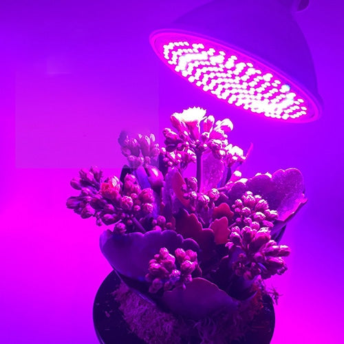 Indoor Plant Growth LED Light