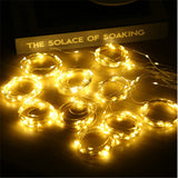 Christmas Garland LED Fairy Lights Curtain String Lights Remote Control