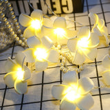DIY Frangipani LED String Light Floral Holiday Lighting Decoration