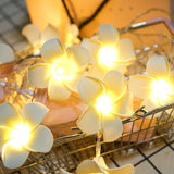 DIY Frangipani LED String Light Floral Holiday Lighting Decoration