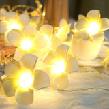 DIY Frangipani LED String Light Floral Holiday Lighting Decoration