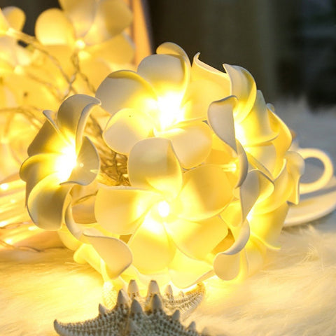 DIY Frangipani LED String Light Floral Holiday Lighting Decoration