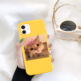 For iPhone Candy Color Cute Animal Fundas Shell Fashion